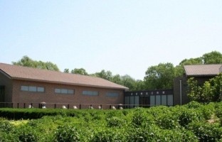 书画频道美术馆