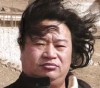 杨东风